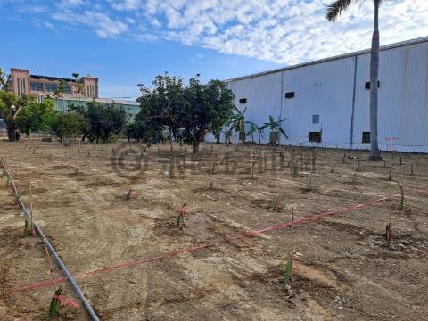 鳥松國中方正都計農地(L) 高雄市鳥松區松埔段