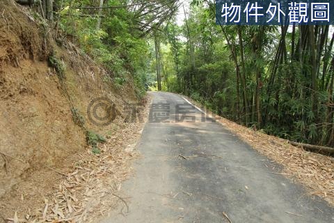 KT.南投-國六北山交流道旁景觀農地 南投縣國姓鄉南港段