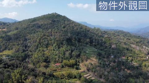 ⭐埔里桃米坑段⭐山坡地保育區農牧用地⭐ 南投縣埔里鎮桃米坑段