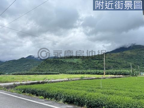 鹿野觀光休閒區景觀農地 10F126 台東縣鹿野鄉四維段