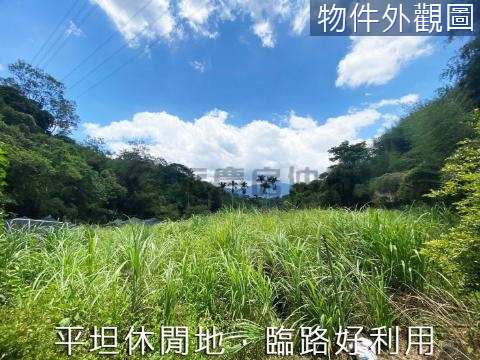 大湖雙平台平坦臨路農地 苗栗縣大湖鄉薑麻段