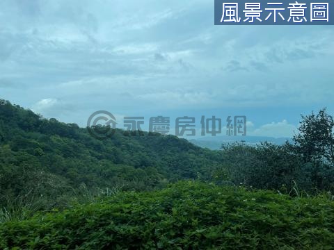 大湖23.9甲超值節能減碳農林地 苗栗縣大湖鄉興榮段