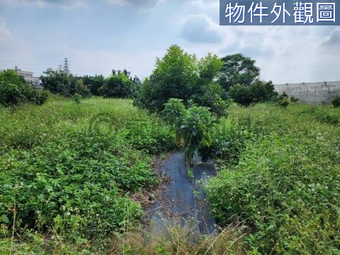 竹崎166縣道旁方正美農地 嘉義縣竹崎鄉山子門段