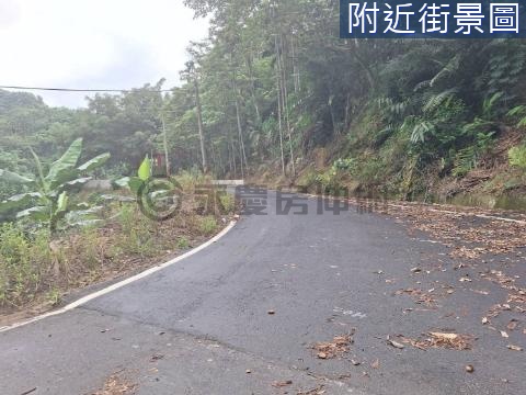 精選推薦 - 草屯雙冬5.4分農保農牧用地 南投縣草屯鎮新雙龍段