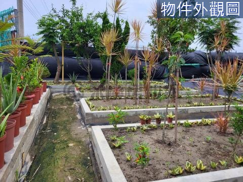 台南善化1.6分有水有電休閒農場 台南市善化區東勢寮段二小段