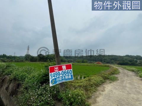 文化段大坪數農地 桃園市龍潭區文化段