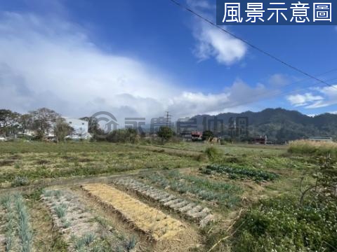 (吉)大溪角板山快樂農地 桃園市大溪區三層段三層小段