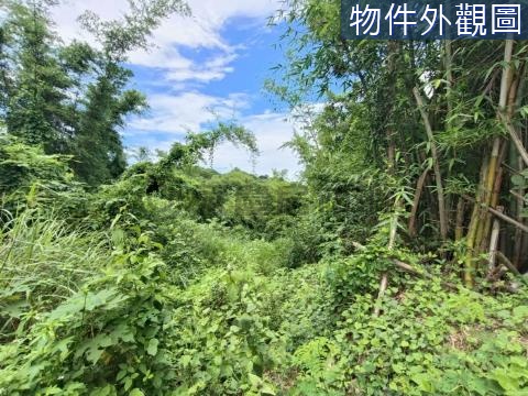 台南龍崎近文衡殿9.42分山坡地保育區農牧用地 台南市龍崎區中坑子段