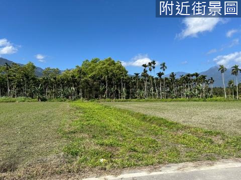 花蓮光復西富1300坪臨路農地25F021 花蓮縣光復鄉溪州段