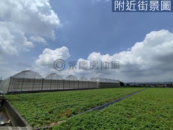 CT烏日區臨五米路大面寬方正美農地