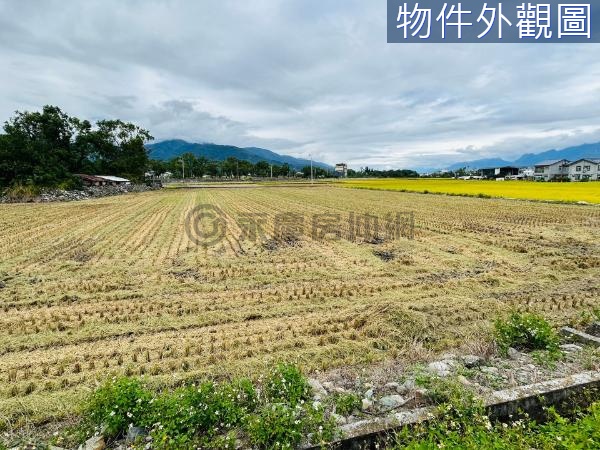 池上台九線旁農地10F051