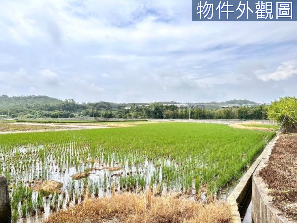 天仁茗茶旁南隘農地