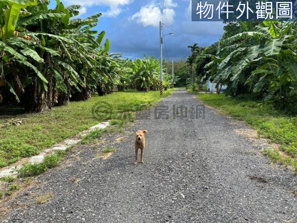 市區小坪數農地-近縣立棒球場運動及寵物公園