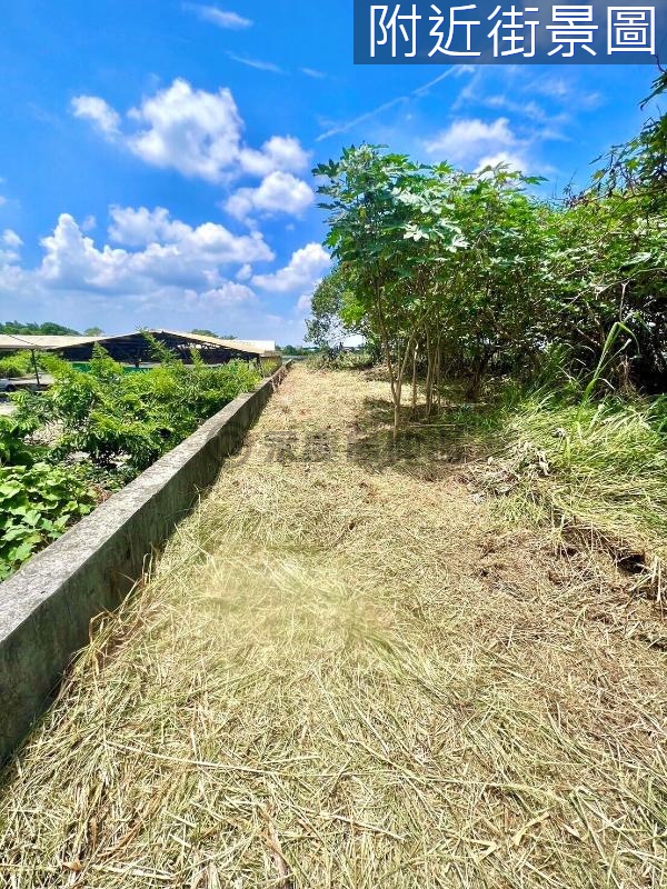 田中員集路近泰山朝南甲建