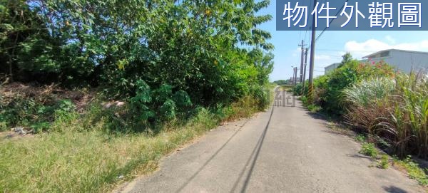 和興段251坪甲建