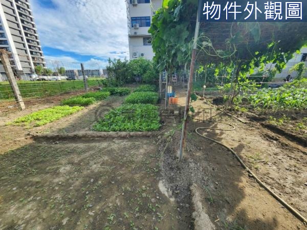 鳳甲77期重劃區面寬12米方正建地