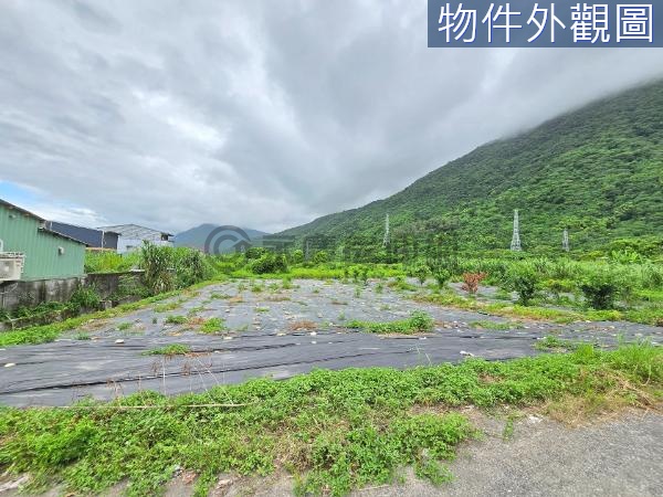 秀林鄉公所買建地送農地面寬方正原保農建地