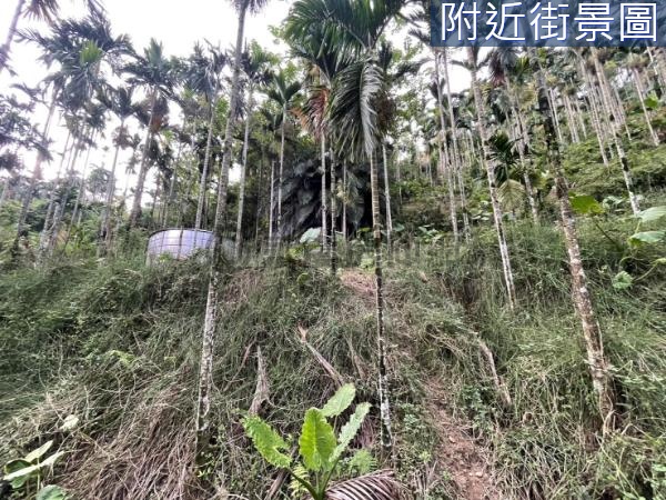 歡迎配件 中埔石硦2甲6分檳榔桂竹筍景觀林地