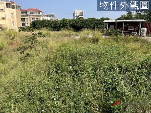 龍井區住二建地B大面寬