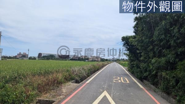 (綠834)觀音近文化路金橋路雙面臨路美田