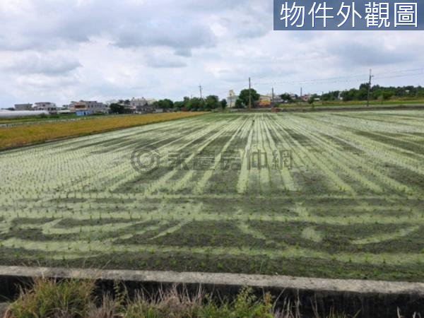 嘉義太保高鐵特區旁重劃建地(A)