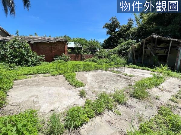 ☀️近洲際14期農建地已拉建築線