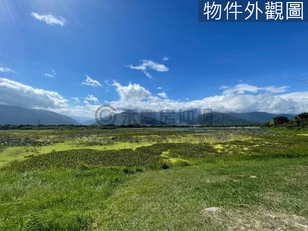 🌈池上鄉大坡池稻穀聲浪打卡景觀建地-C