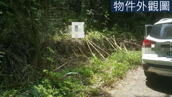 壽豐溪口山坡保育地林業用地UF482