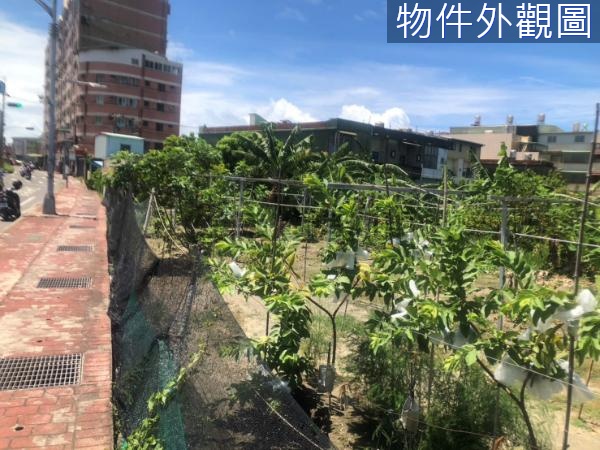 林園沿海路上文武旺市大面寬美建地