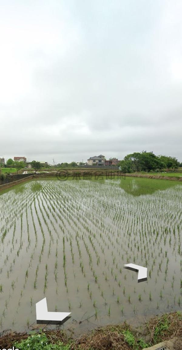 觀音大堀大面寬美農地