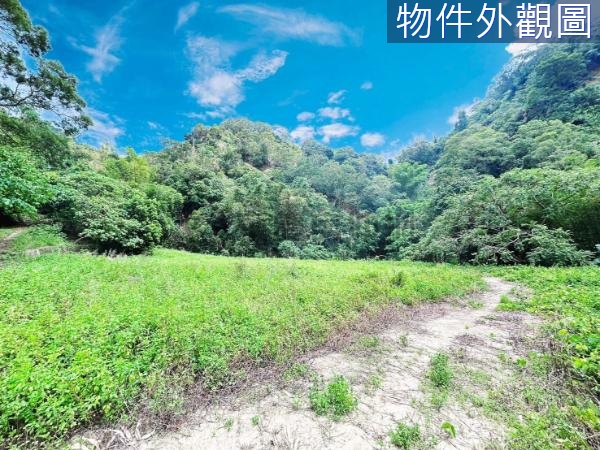 (M)投資價!北屯大坑風景區2300坪住宅建地