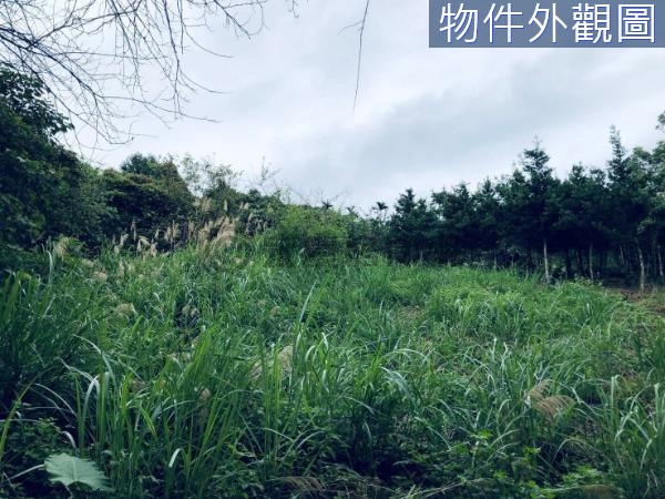 鯉魚潭崇光漂亮原住民農地視野遼闊無限美景