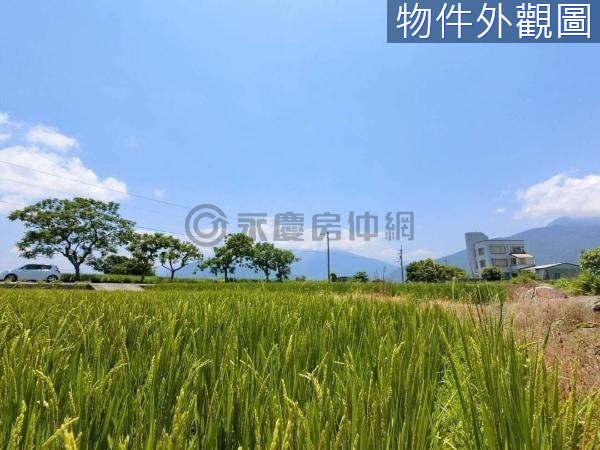 吉安近省道農地地主大讓利降價出售UF458