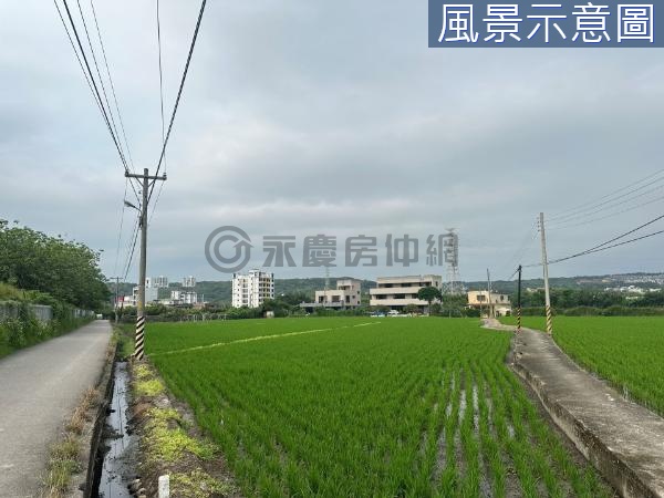 竹北台元旁 甲建+農地