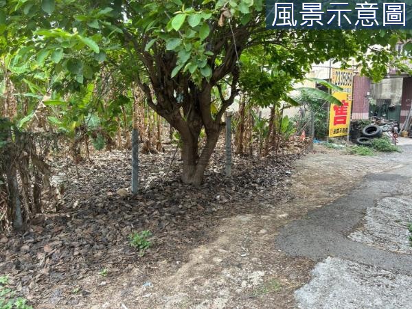 獨家專賣平山重劃區旁方正大建地