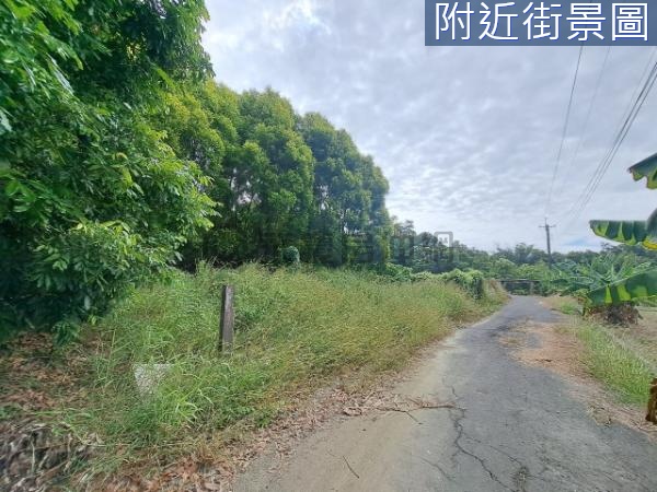 近八田與一都內農地D