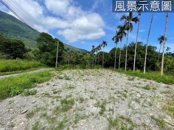 17F近鳳凰山莊環境清幽雙面路靜懿農地（有農電）