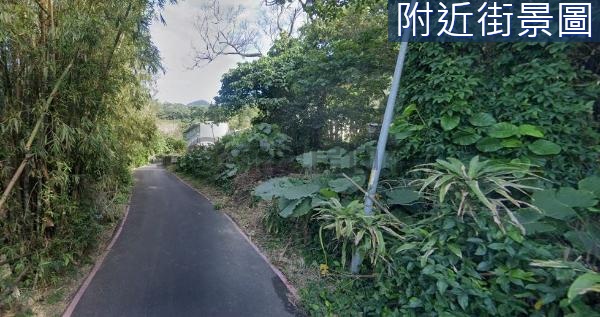 Q046天元宮旁路邊美地