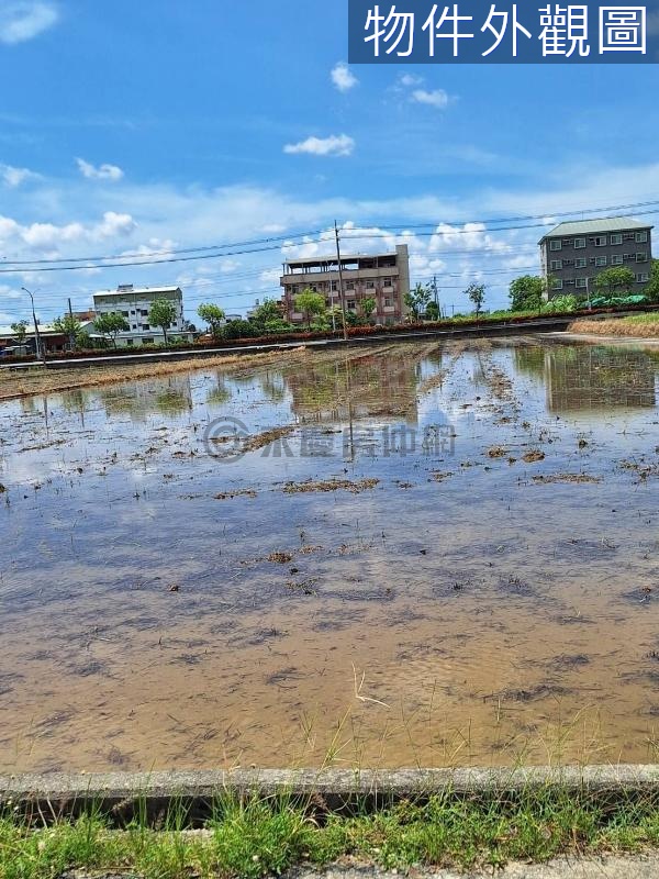 民雄中正大學好收農地