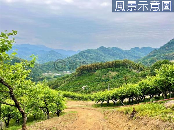 🌱新社中和國小景觀農地F,4分9水電齊