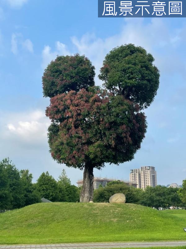 12單元南興公園東光國小101坪住1-1建地