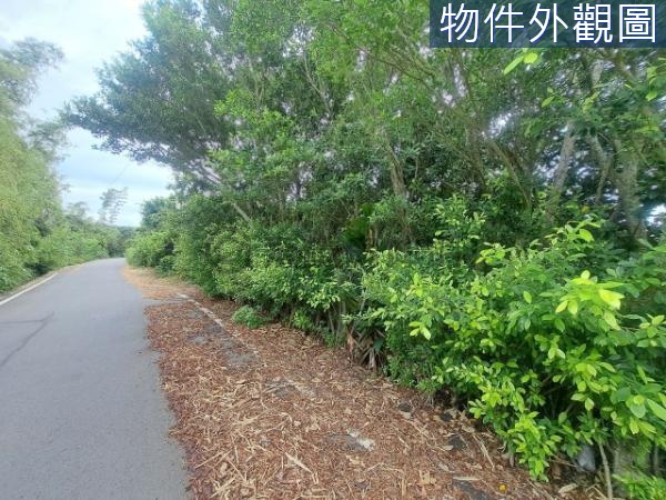 苗栗通霄   淳樸小鎮-甲建