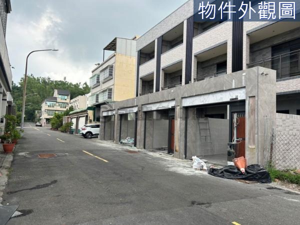 大坪頂全新未住臨路三套房車墅(2)