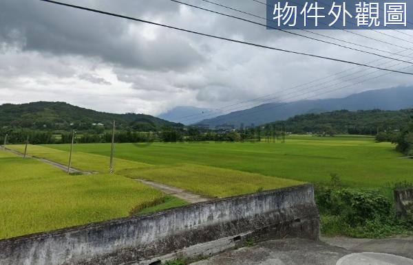 🍀富里稻米的故鄉眺望美人山足坪美農地