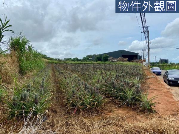 ✨台中國際航空城🛫楊厝段區段徵收土地