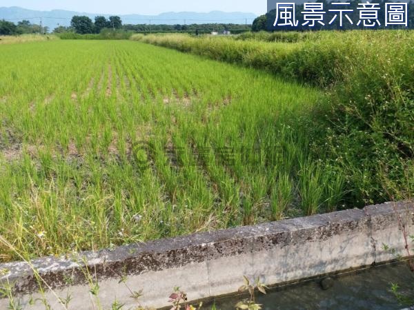 專-壽豐鄉豐南段地形方正優質優質農地15F091