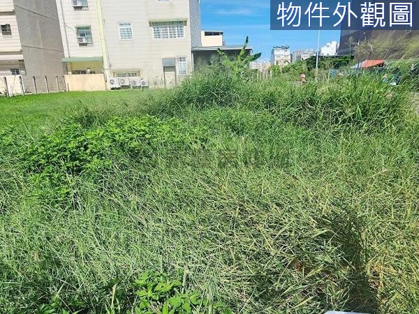 鳳山國慶六街面公園▲角窗建地(可租售)