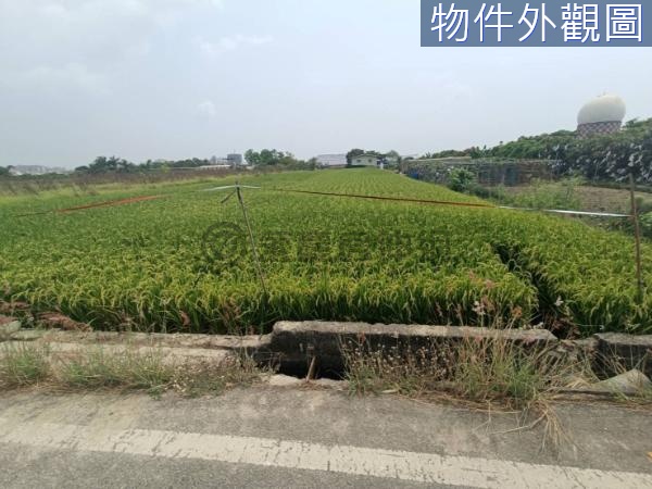 小港機場旁-淨園天空之城-方正農地