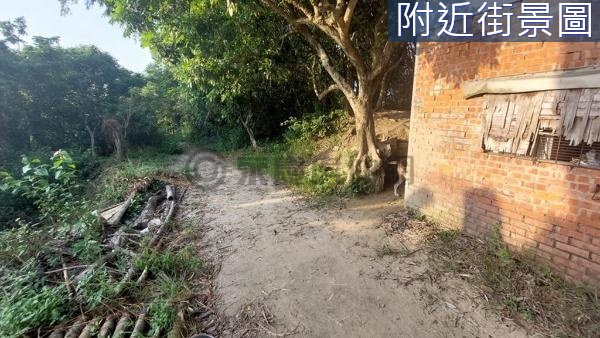 近南寶球場果園農地(地主表示:自然農法無毒種植)