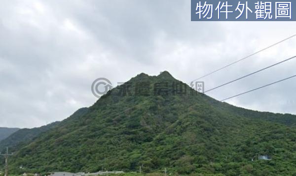 頭城外大溪山坡林業用地